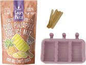 2x55gr Easypets easy freezy dog ice hondenijs ananas met mal