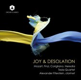 Alexander Fiterstein - Joy & Desolation (CD)