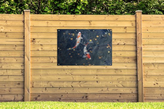 Poster de jardin Deux corsaires koï nageant entre les feuilles - 120x80 cm - Jardin