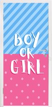 Deursticker Jongetje of meisje - Boy or Girl - Babyshower - Quotes - Gender reveal - 85x215 cm - Deurposter