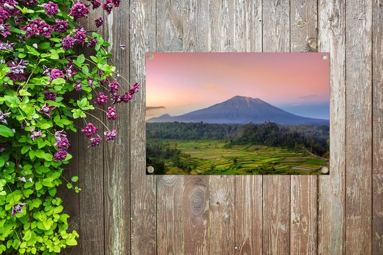 Tuinposter Afbeelding van een rijst veld in Bali - 100x60 cm - Wanddecoratie Buiten - Tuinposter - Tuindoek - Schuttingposter - Tuinschilderij