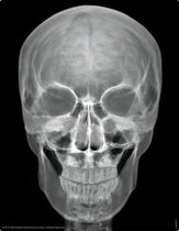 4M - KidzLabs - Menselijk skelet