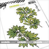 Carabelle Studio Cling stamp A6 Soft and round leaves