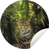 Tuincirkel Jonge jaguar in de jungle - 120x120 cm - Ronde Tuinposter - Buiten XXL / Groot formaat!