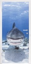 Deursticker Aanzwemmende haai - 75x205 cm - Deurposter