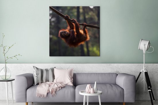 Tableau sur Toile Jeune orang-outan suspendu à une branche - 90x90 cm - Décoration murale