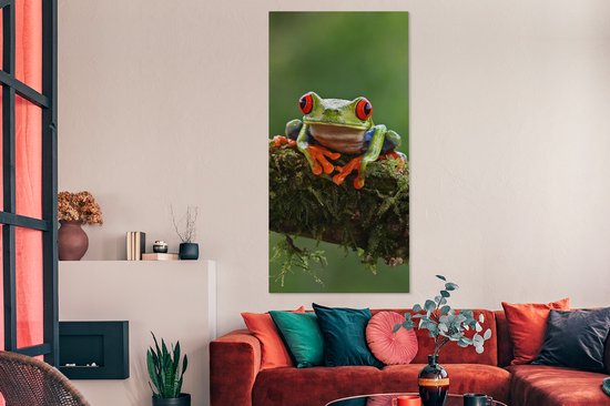 Peinture sur toile Grenouille aux yeux rouges sur une branche couverte - 80x160 cm - Décoration murale