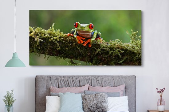 Peinture sur toile Grenouille aux yeux rouges sur une branche couverte - 160x80 cm - Décoration murale