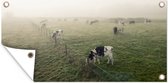 Tuinposter Koeien - Mist - Friesland - 60x30 cm - Tuindoek - Buitenposter