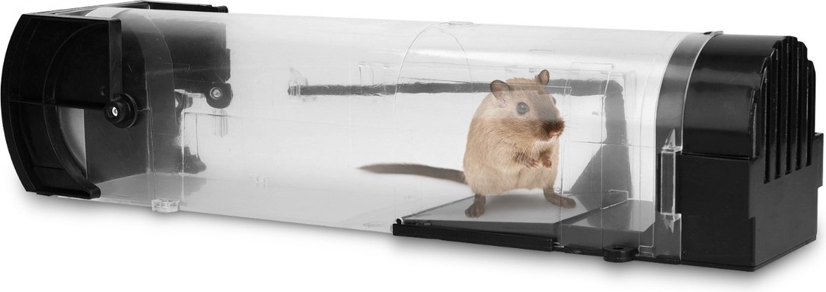 OhmyGoods piège pour souris et petits rats - piège à souris - 6 pièces -  piège à