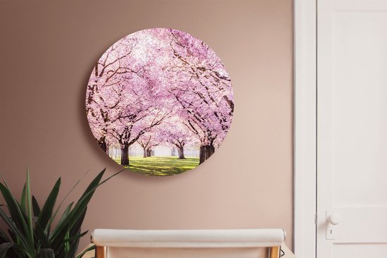 Cercle mural Artaza Dibond Arbres en fleurs roses Parc - Fleurs - Ø 70 cm - Cercle mural - Peinture ronde - Pour intérieur et extérieur