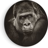 Artaza Dibond Muurcirkel Gorilla - Zwart Wit - Ø 70 cm - Wandcirkel - Rond Schilderij - Voor Binnen en Buiten