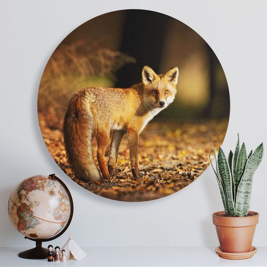Cercle Mural Artaza Dibond - Renard dans la Forêt d'Automne - Ø 40 cm - Klein - Cercle Mural - Tableau Rond - Pour Intérieur et Extérieur