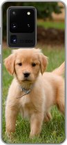 Geschikt voor Samsung Galaxy S20 Ultra hoesje - Golden Retriever pup in het groene gras - Siliconen Telefoonhoesje