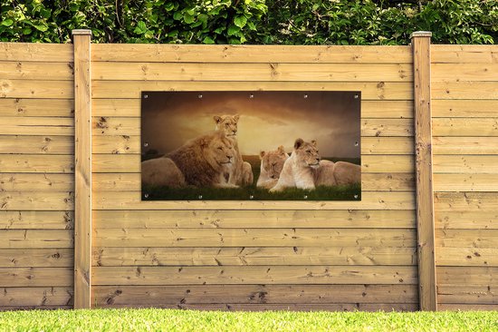 Affiche de clôture Lions - Herbe - Ciel - 200x100 cm - Toile de jardin