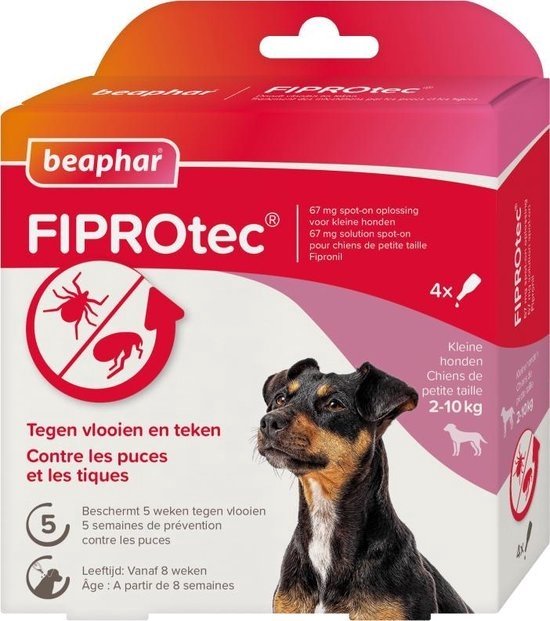 Beaphar FIPROTec spot-on oplossing voor kleine honden 2-10 kg. Een kleine hond met bruine en zwarte vacht kijkt naar de verpakking. Met 4 pipetten.