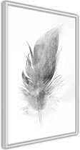 Poster - Lost Feather (Grey)
