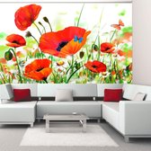 Fotobehang - Country poppies.