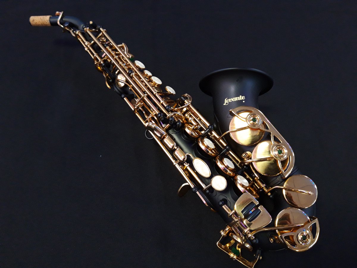 Mini Saxophone de poche avec embout anches, Instrument à vent