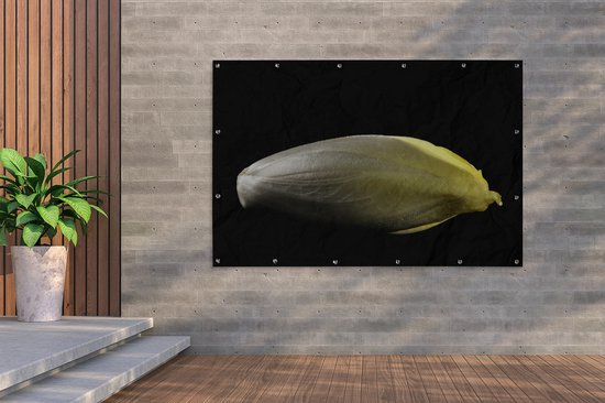 Mystérieuse photo d'une chicorée sur fond noir Affiche de jardin 180x120 cm  - Toile de... | bol.com