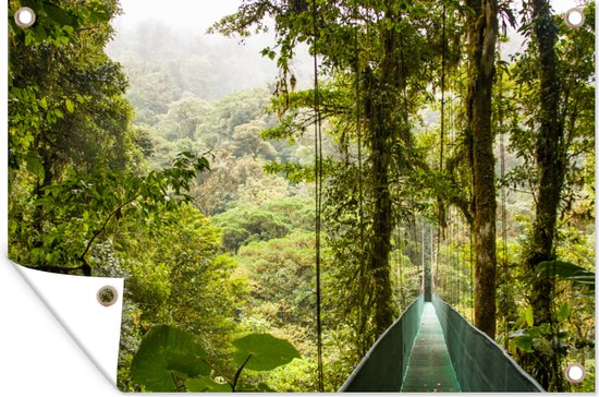 Tuindecoratie Monteverde - Bos - Brug - Regenwoud - 60x40 cm - Tuinposter - Tuindoek - Buitenposter