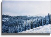 Walljar - Winter Trees - Muurdecoratie - Canvas schilderij