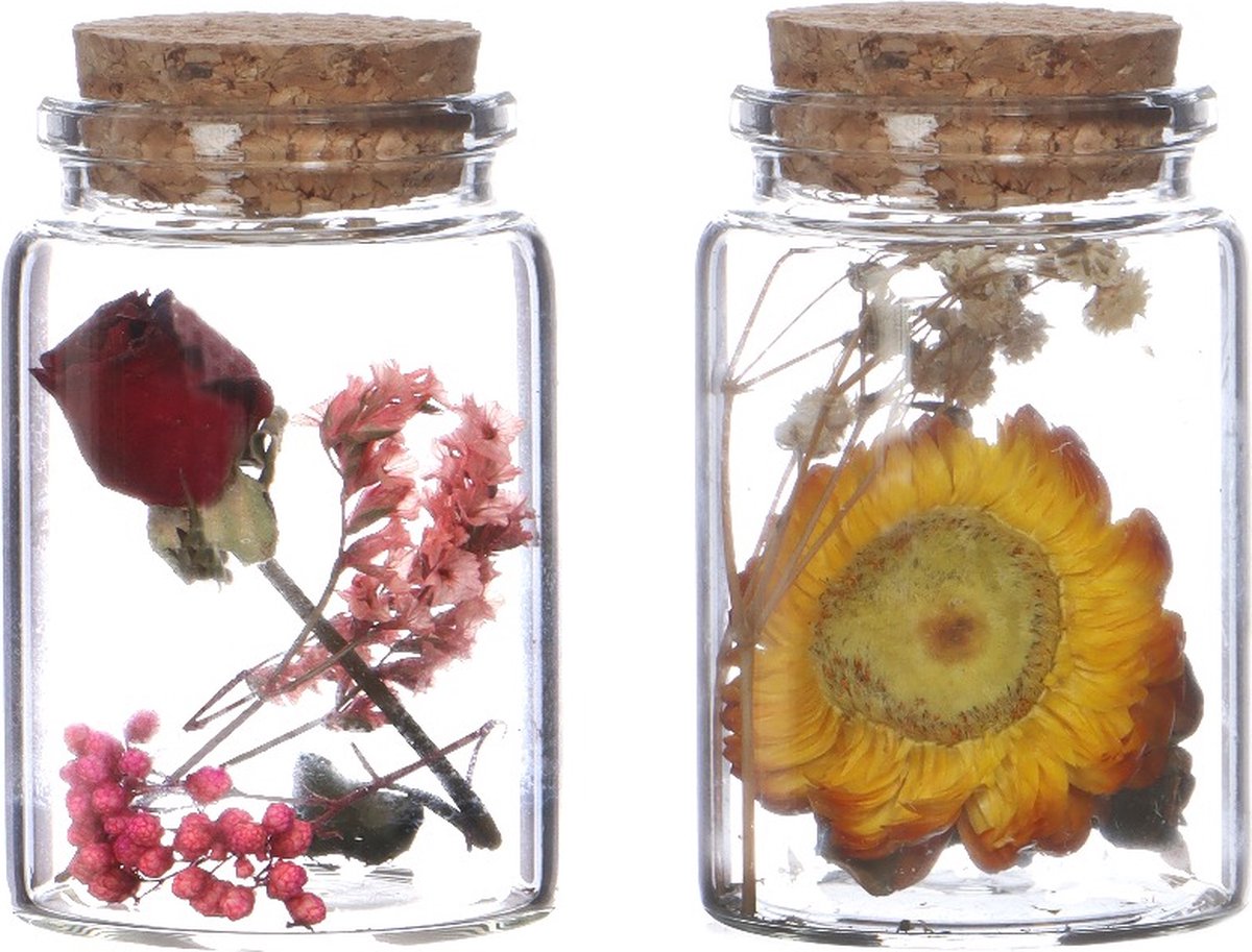 Glazen buis met 2 diverse droogbloemen Ø4.5cm. H: 7.5cm - 12 st