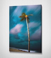 Palm Tree - 40 x 60 cm - Landschap - Schilderij - Canvas - Slaapkamer - Wanddecoratie  - Slaapkamer - Foto op canvas