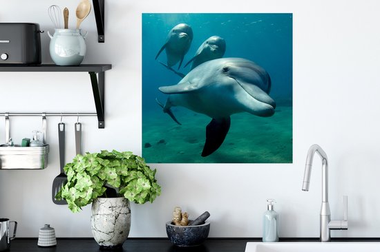 Affiche Water - Dauphin - Blauw - 50x50 cm