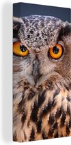 Tableau sur toile Un gros plan d'un hibou marron - 20x40 cm - Décoration murale