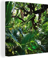 Canvas Schilderij Prachtige patronen van bladeren en bomen in een regenwoud - 20x20 cm - Wanddecoratie