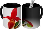 Magische Mok - Foto op Warmte Mok - Rode orchidee - 350 ML