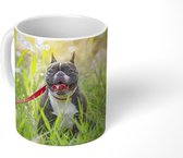 Mok - Franse Bulldog - Gras - Hondenlijn - 350 ML - Beker