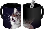 Magische Mok - Foto op Warmte Mok - Kat met zijn mond open - 350 ML