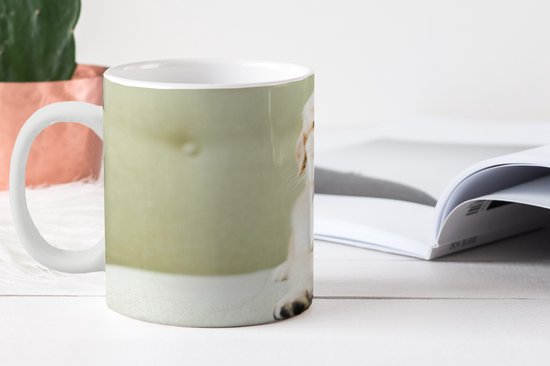 Tasse - Tasse à café - Chiot Golden Retriever allongé sur le canapé - Tasses - 350 ML - Tasse - Tasses à café - Tasse à thé - Décoration Sinterklaas - Cadeaux pour enfants - Chaussures cadeaux Sinterklaas