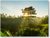 Bali Jungle - 40x30 Canvas Liggend - Minimalist - Landschap