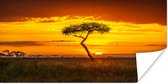 Affiche Coucher de soleil sur un paysage africain - 120x60 cm