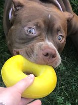 Goughnuts-Ring-sterk hondenspeelgoed- levenslange fabrieksgarantie-maat M-Ring