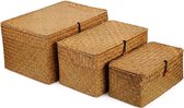 Rotan Mand Zeegras Opslagmand met Deksel Natuurlijk Materiaal 3 stuks (Groot + Middel + Klein)