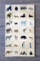 Wilde Dieren Familie Match - Set van 28