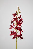 Kunstbloem - set van 2  - vanda orchidee - decoratieve tak -  70 cm - Rood