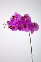 Kunstbloem - set van 2  - Butterfly orchidee - decoratieve tak -  68 cm - paars