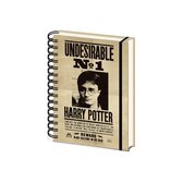 HARRY POTTER - Cahier Sirius & Harry Potter A5 3D