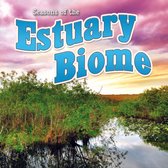 Biomes - Seasons Of The Estuary Biome