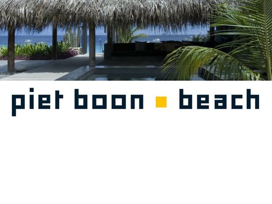 Cover van het boek 'Piet Boon Beach Nederlandstalig' van J. Huisman
