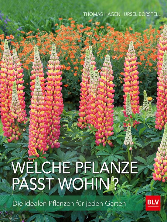 Welche Pflanze passt wohin? - cover