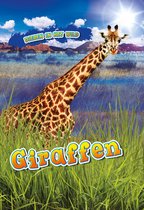 Dieren in het wild - Giraffen