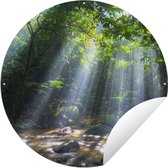 Tuincirkel Zonnestralen dringen door de bomen het regenwoud in Maleisië binnen - 60x60 cm - Ronde Tuinposter - Buiten