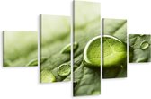 Schilderij - Waterdruppels op blad, 5luik, premium print