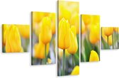 Schilderij - Gele tulpen veld, 5luik, premium print